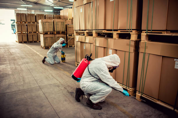 Professional Pest Control in Fowlkes, TN