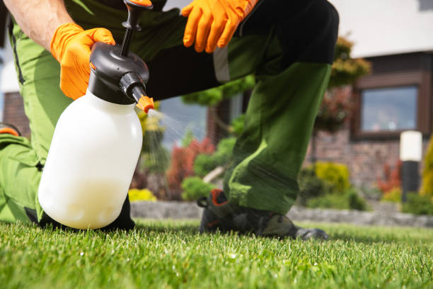 Best Rat Extermination Near Me  in Fowlkes, TN