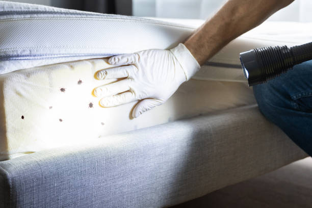 Pest Control Cost in Fowlkes, TN