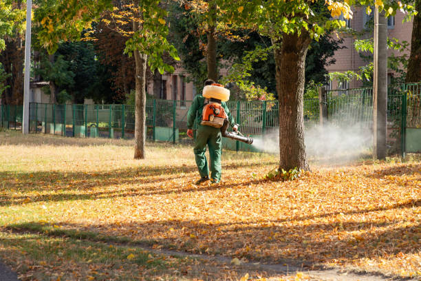 Trusted Fowlkes, TN Pest Control Experts