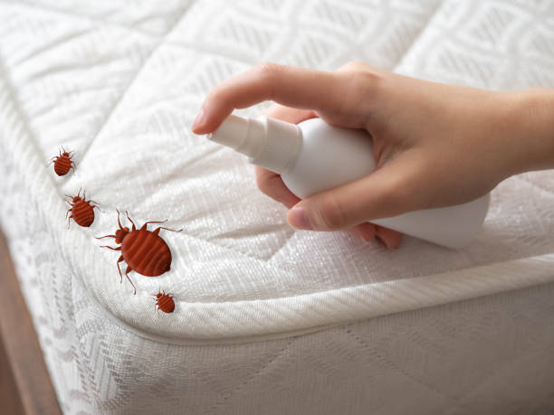 Flea Control Services in Fowlkes, TN
